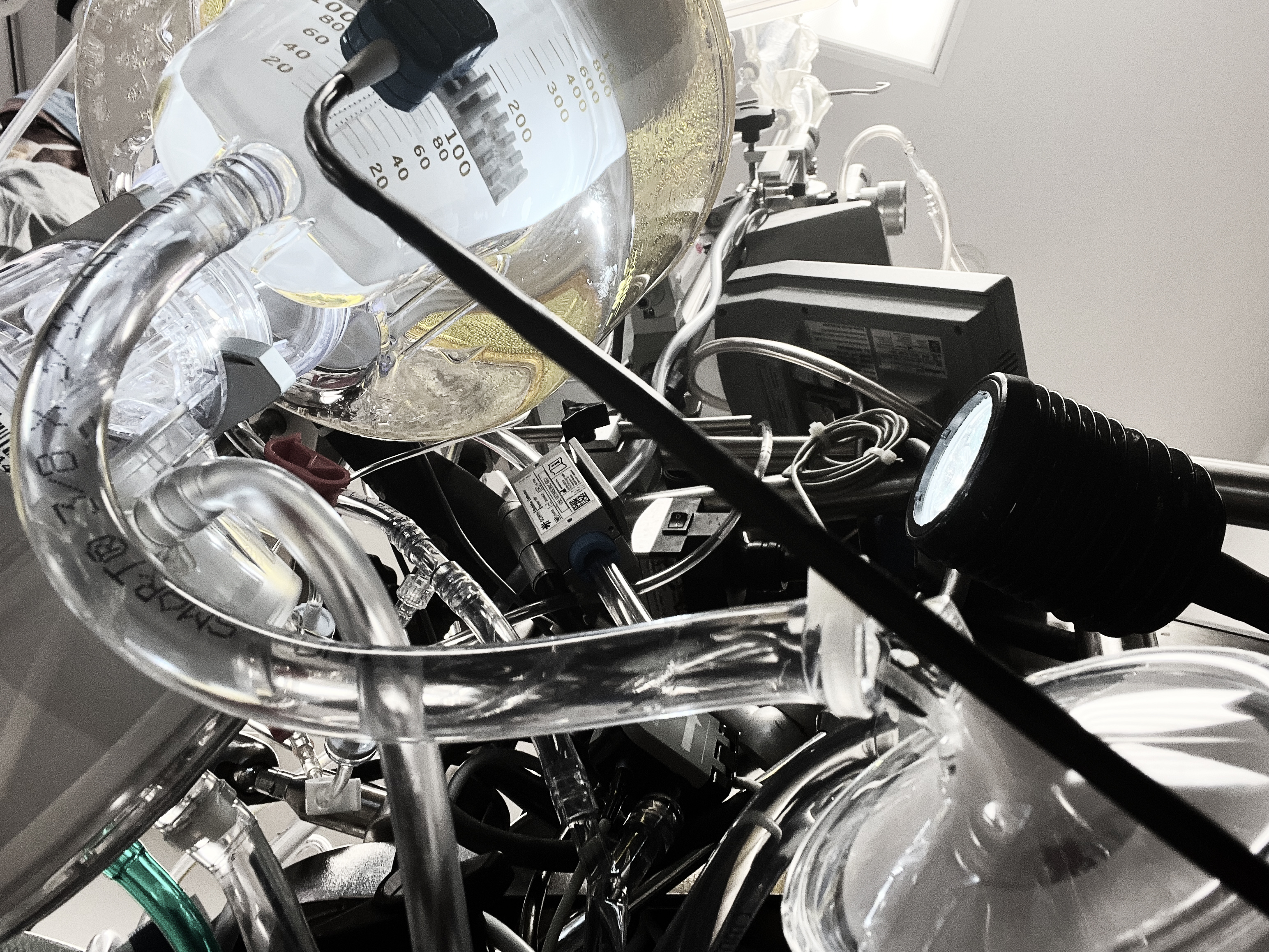 What is It that We Do?