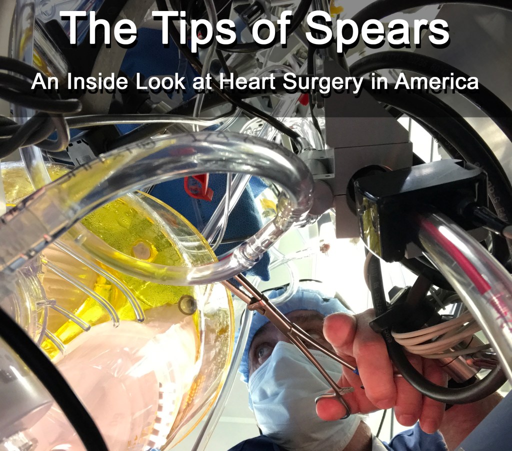 Excerpt- “Let’s go on Sucker Bypass!”