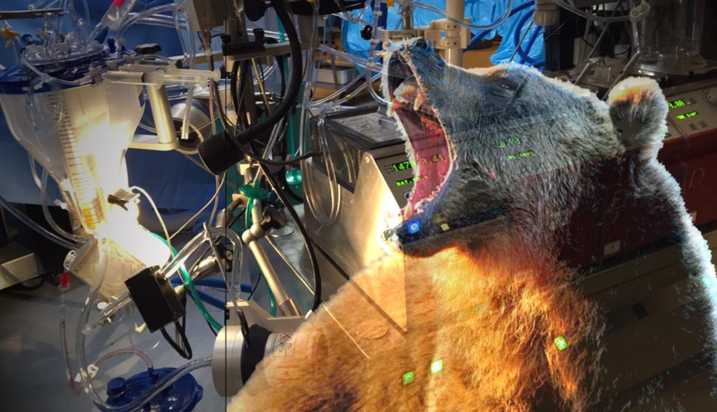 A Locum’s ScrapBook: Sometimes… The Bear Gets YOU…