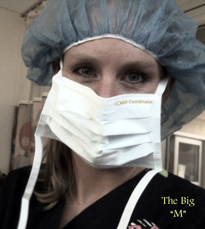 A Day In The Life…&nbsp;[5]