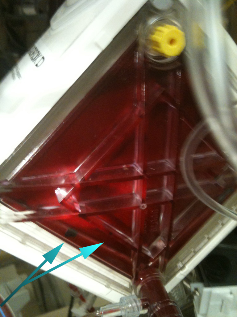 A Day In The Life…&nbsp;[3]