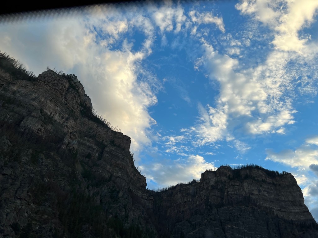 Excerpt: A Foward from LVAD 1