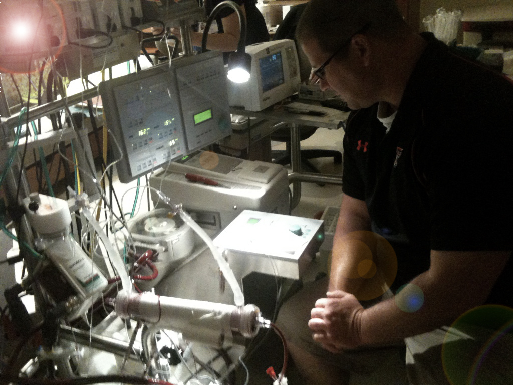 A Day in the Life… [And Then Comes&nbsp;Sunday]